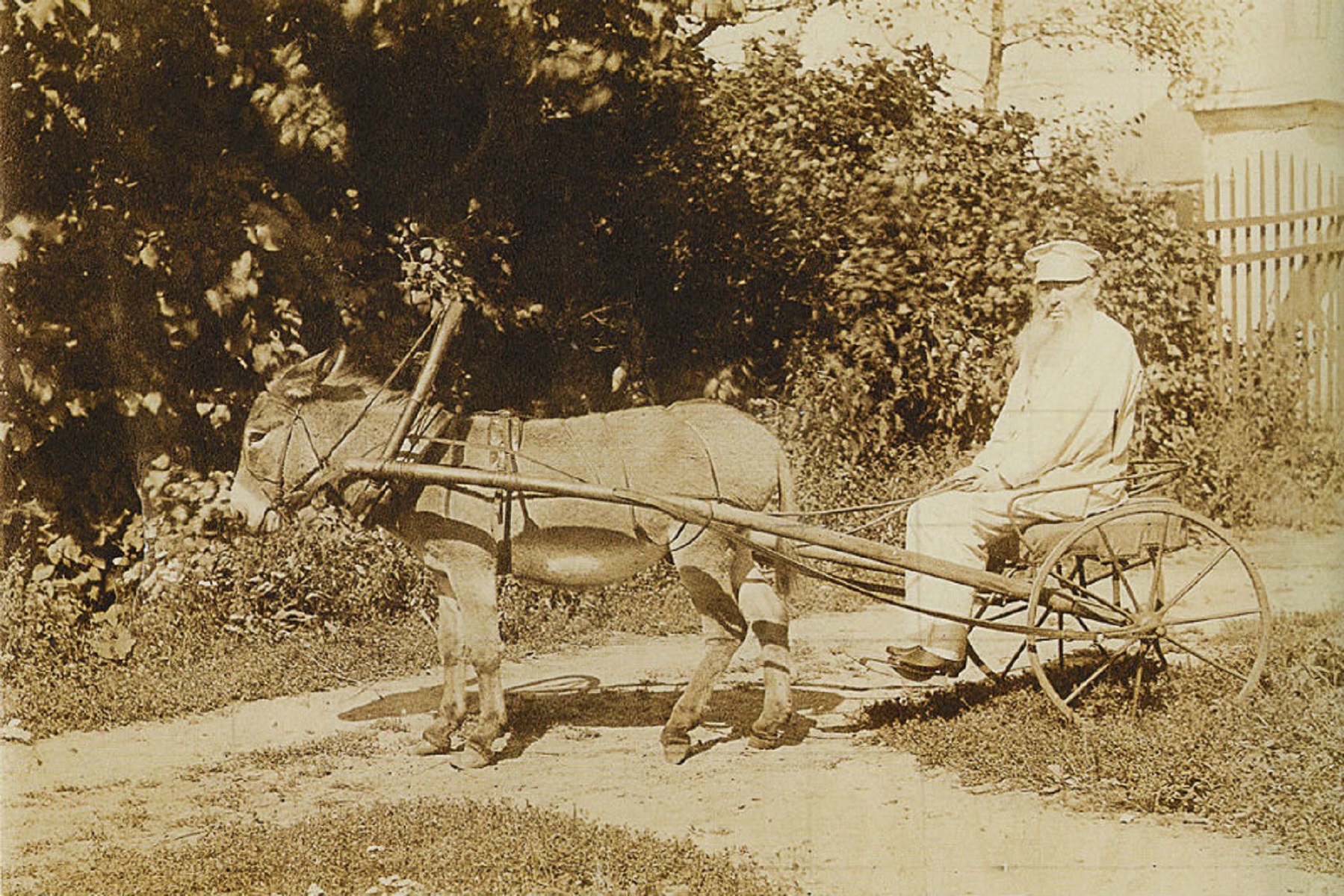 А.А. Фет в своем имении Воробьевка. Лето 1890 года. Фотография С.Д. Боткина