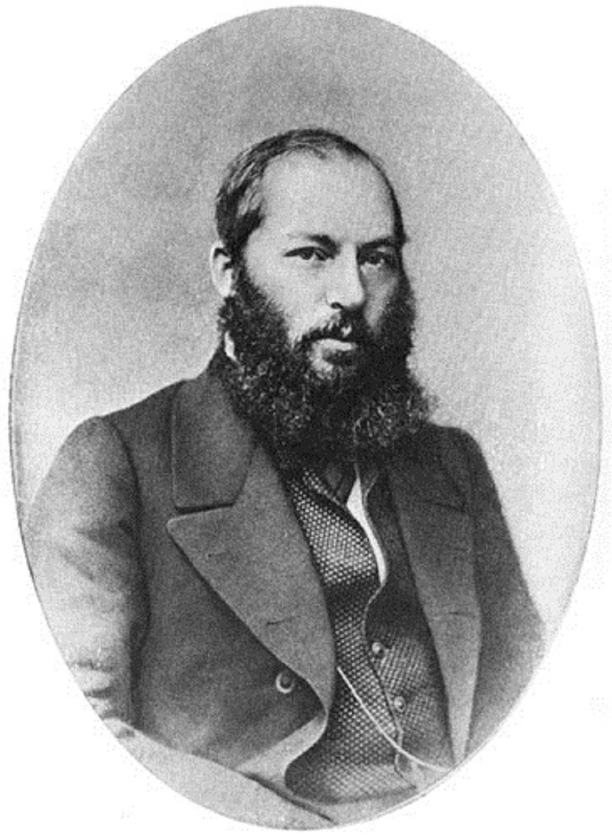 Афанасий Фет в 1860-х годах, портрет