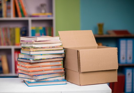 Готовимся к ремонту в отделе по специальной педагогике и психологии: доступ к изданиям