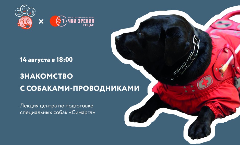 Знакомство с собаками-проводниками 6+
