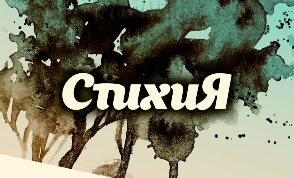 Стихия 6+