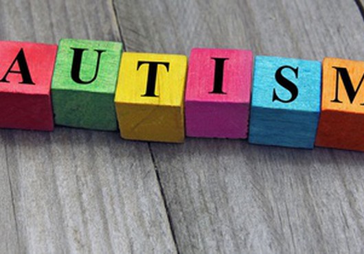 Круглый стол по проблемам аутизма