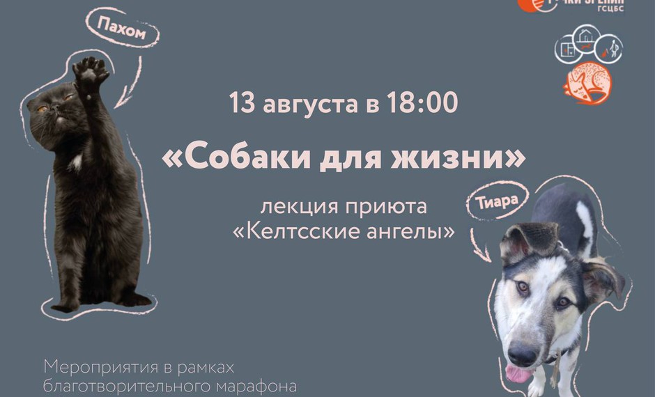 Собаки для жизни 6+