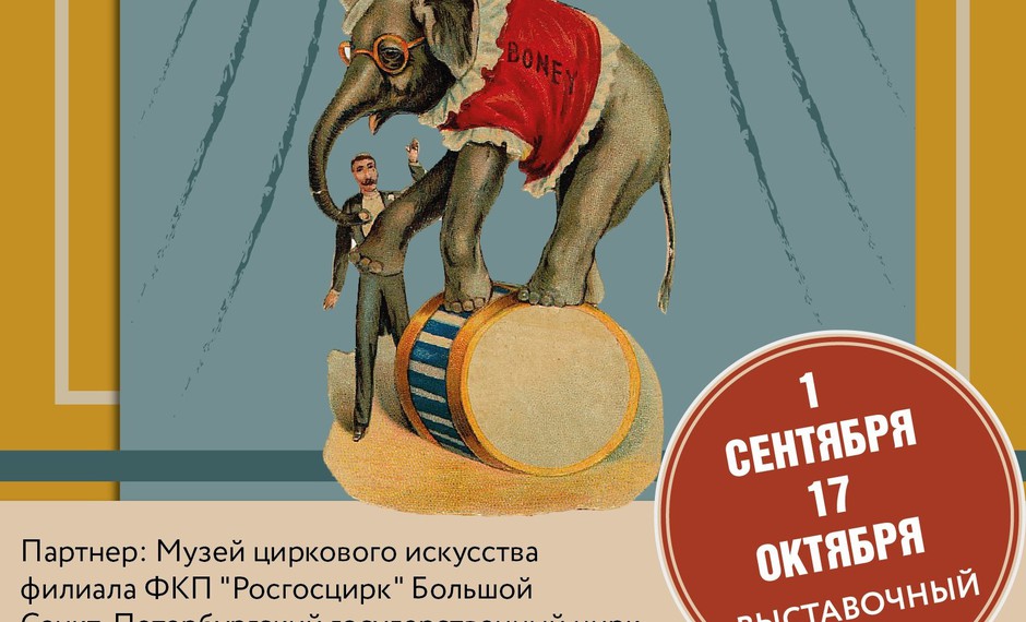 «Свет, музыка, восторг… Цирк!» 12+